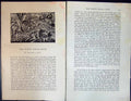 Old Badminton Magazine 1901 White Witch Duck Hunting Rockham Mere Inn Victorian