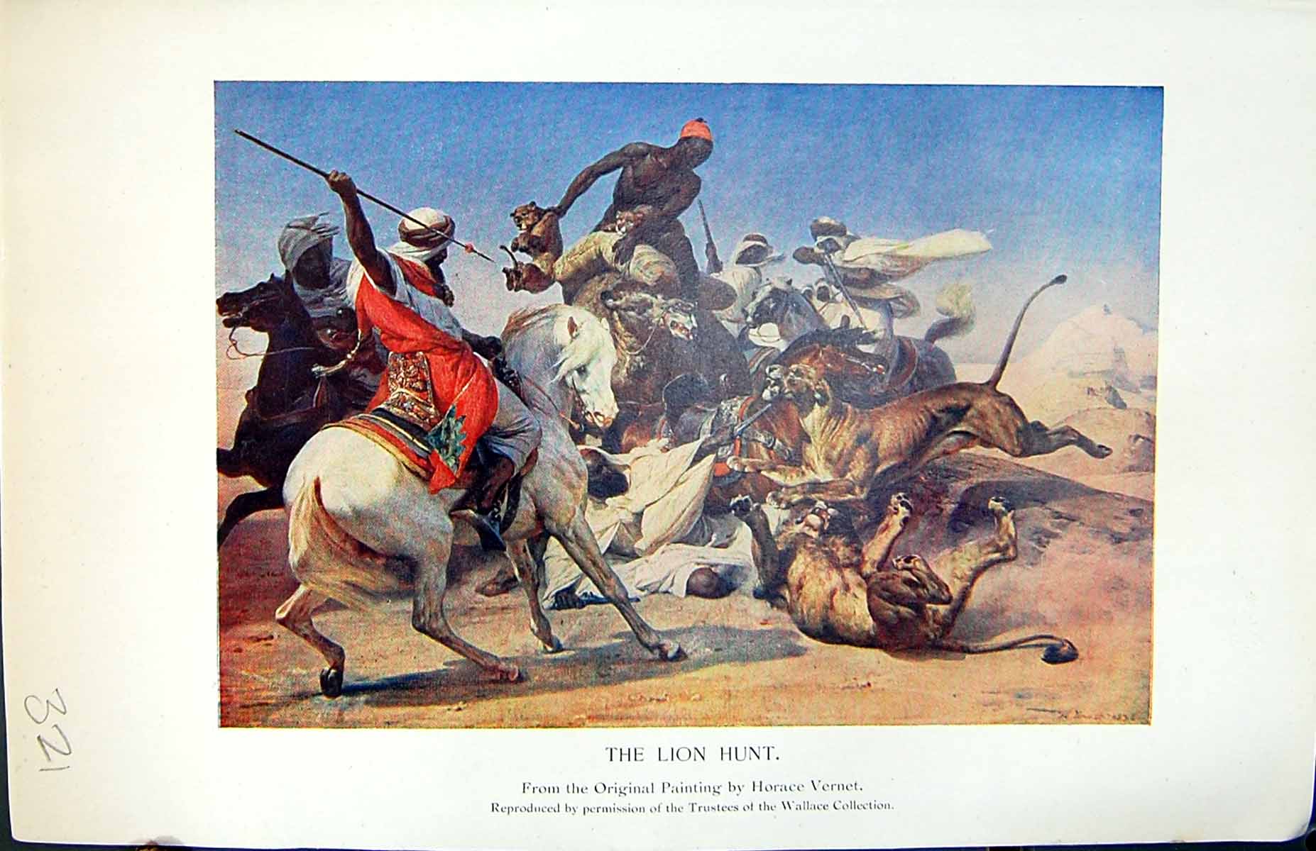 Old Print Badminton Magazine 1901 Colour Lion Hunting Horses Camel Sport 20th