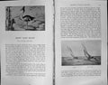 Old Badminton Magazine 1903 Solent Yacht Racing Ruby Sea Lark Ryde Co 20th