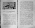 Old Badminton Magazine 1903 Zillerthal Mountains Hutte Greizer Zsigmo 20th