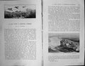 Old Badminton Magazine 1903 Norfolk Hunting Shooting Plover Sport Cor 20th