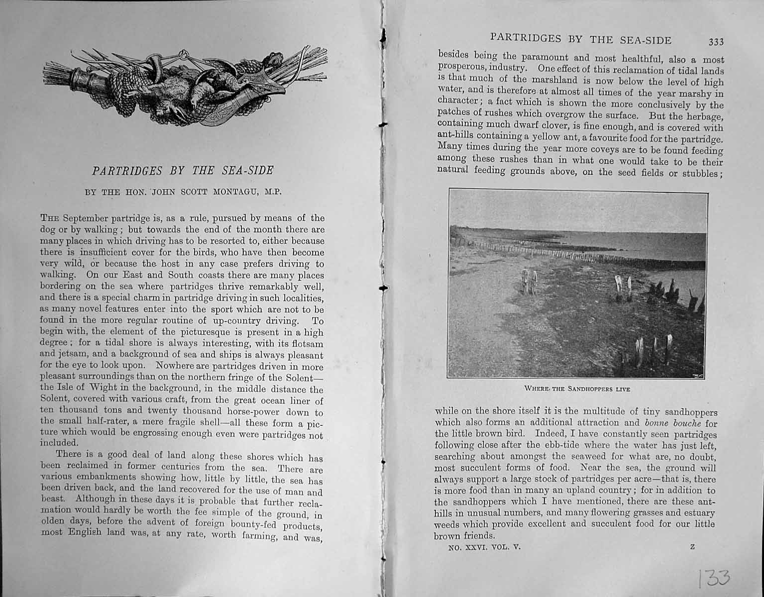 Old Badminton Magazine 1903 Partridges Birds Sea-Side Sandhoppers Bir 20th