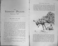 Old Badminton Magazine 1903 Hanby Hall Fox Hunting Horses Hounds Dogs 20th
