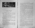 Old Badminton Magazine 1903 Little Knowledge Anthony Deane Golf Man S 20th