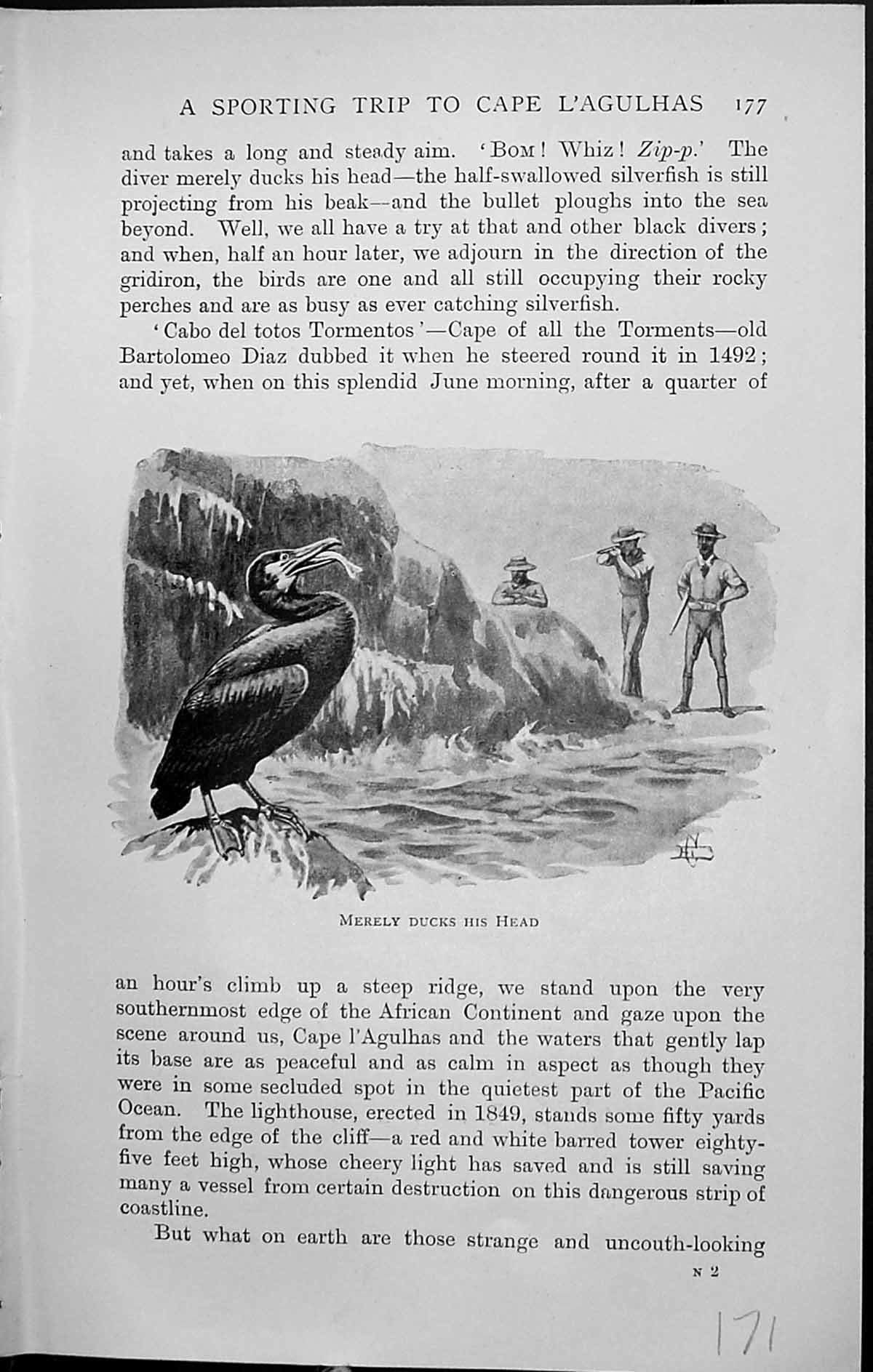 Old Badminton Magazine 1903 Merely Ducks Head Hunting Shooting Bird S 20th