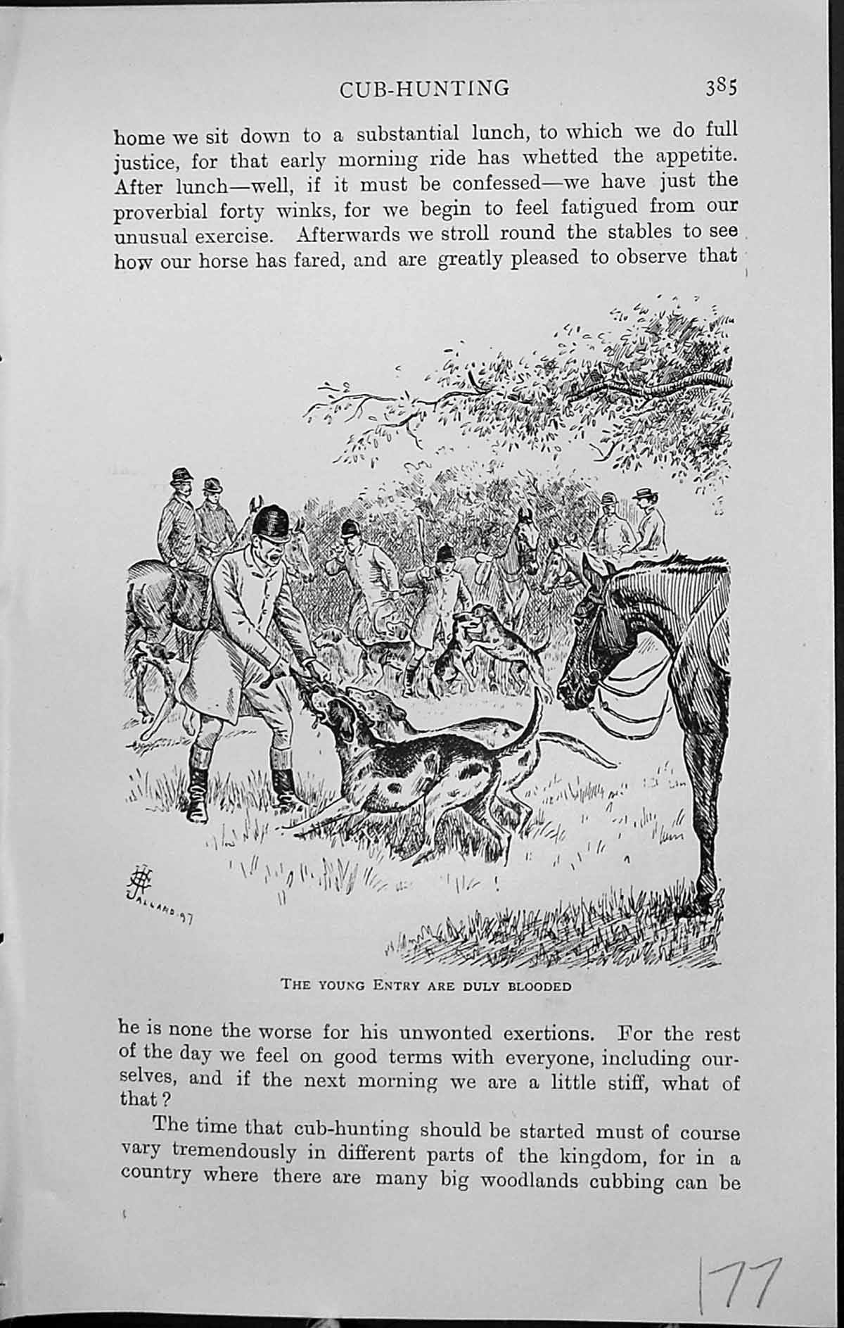 Old Badminton Magazine 1903 Fox Cub Hunting Sport Hounds Dogs Horses 20th