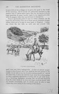 Old Badminton Magazine 1903 Fox Cub Hunting Natural Amphitheatre Hors 20th