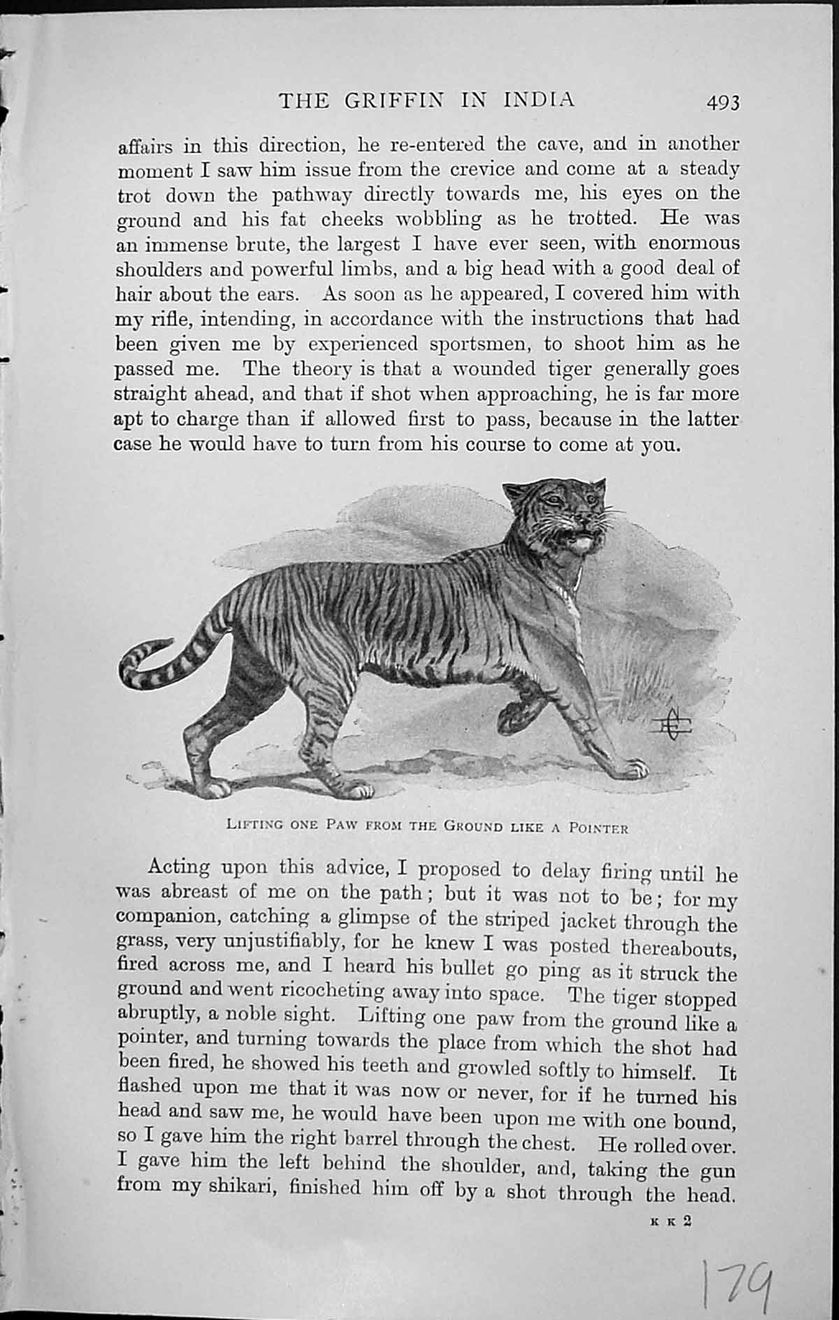 Old Badminton Magazine 1903 Griffin India Wild Cat Animals Lifting Pa 20th