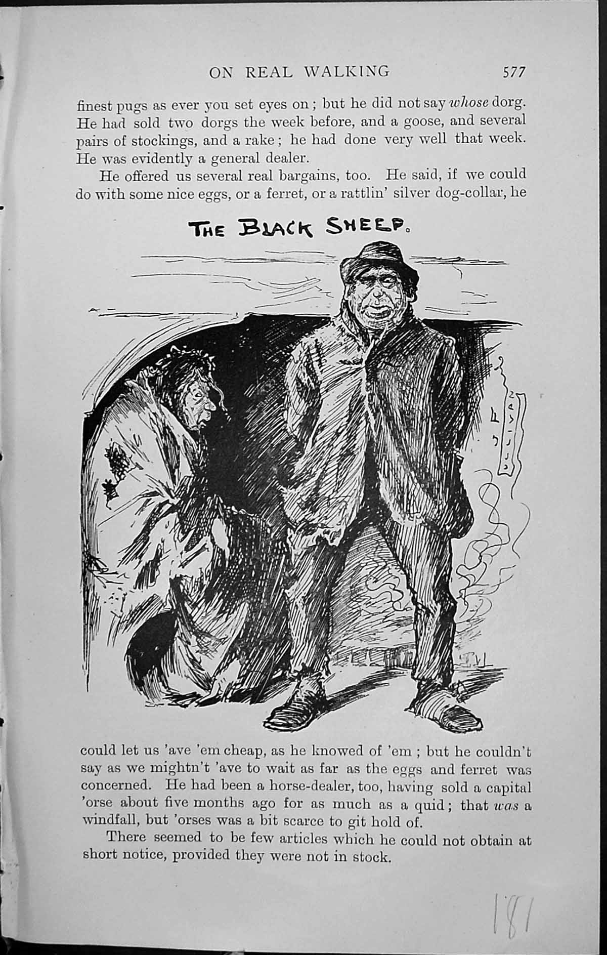 Original Old Antique Print Badminton Magazine 1903 Man Black Sheep 20th Century