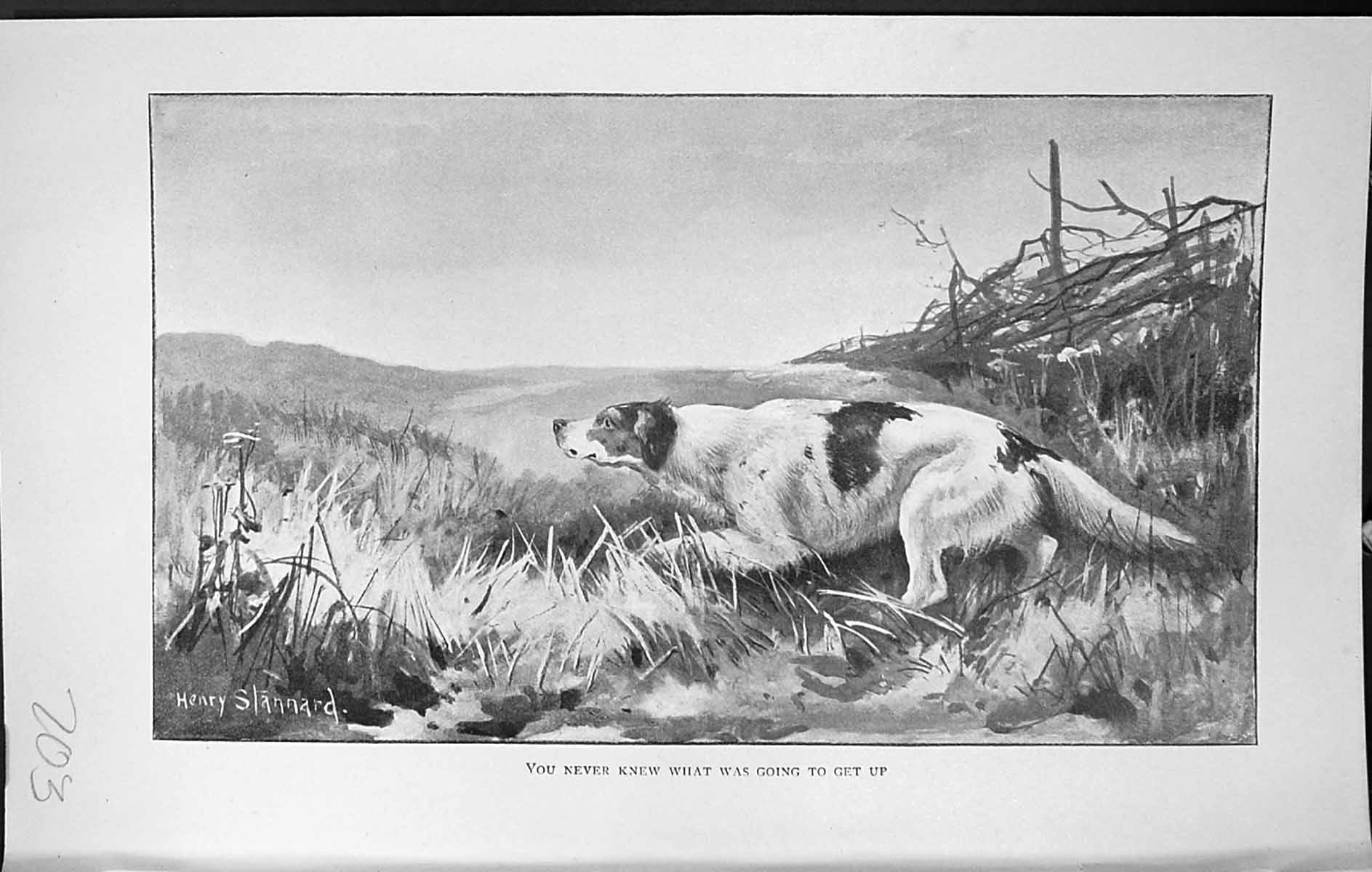 Old Badminton Magazine 1903 Hunting Hound Dog Mountains Henry Stannar 20th