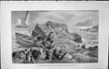 Old Badminton Magazine 1903 Men Hunting Shooting Sea Birds Boats Spee 20th