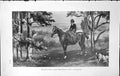 Old Badminton Magazine 1903 Lady Hunting Horse Hounds Dogs Sport Coun 20th