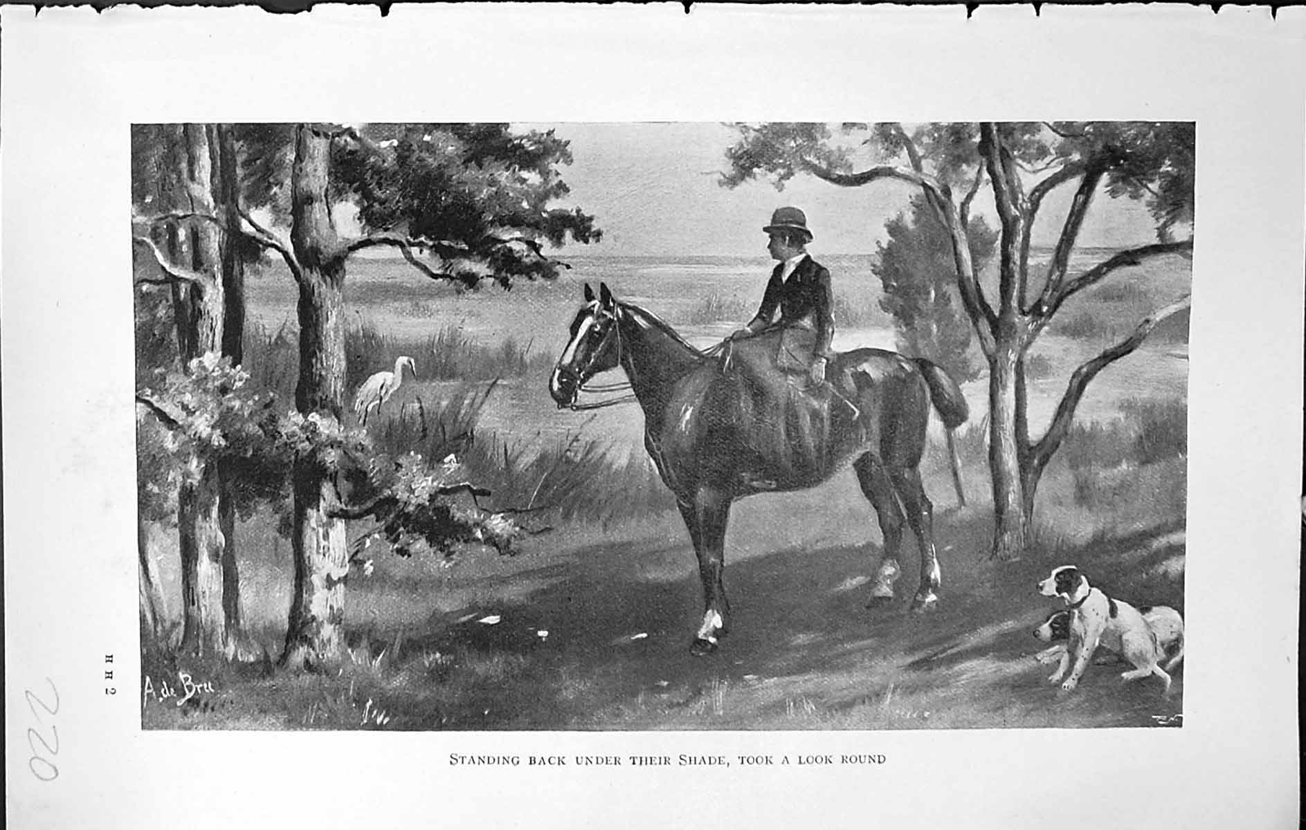 Old Badminton Magazine 1903 Lady Hunting Horse Hounds Dogs Sport Coun 20th