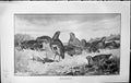 Old Badminton Magazine 1903 Early Morning Scene Birds Henry Stannard 20th