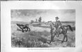 Original Old Antique Print Badminton Magazine 1903 Horse Man Rider Lassoing Cow