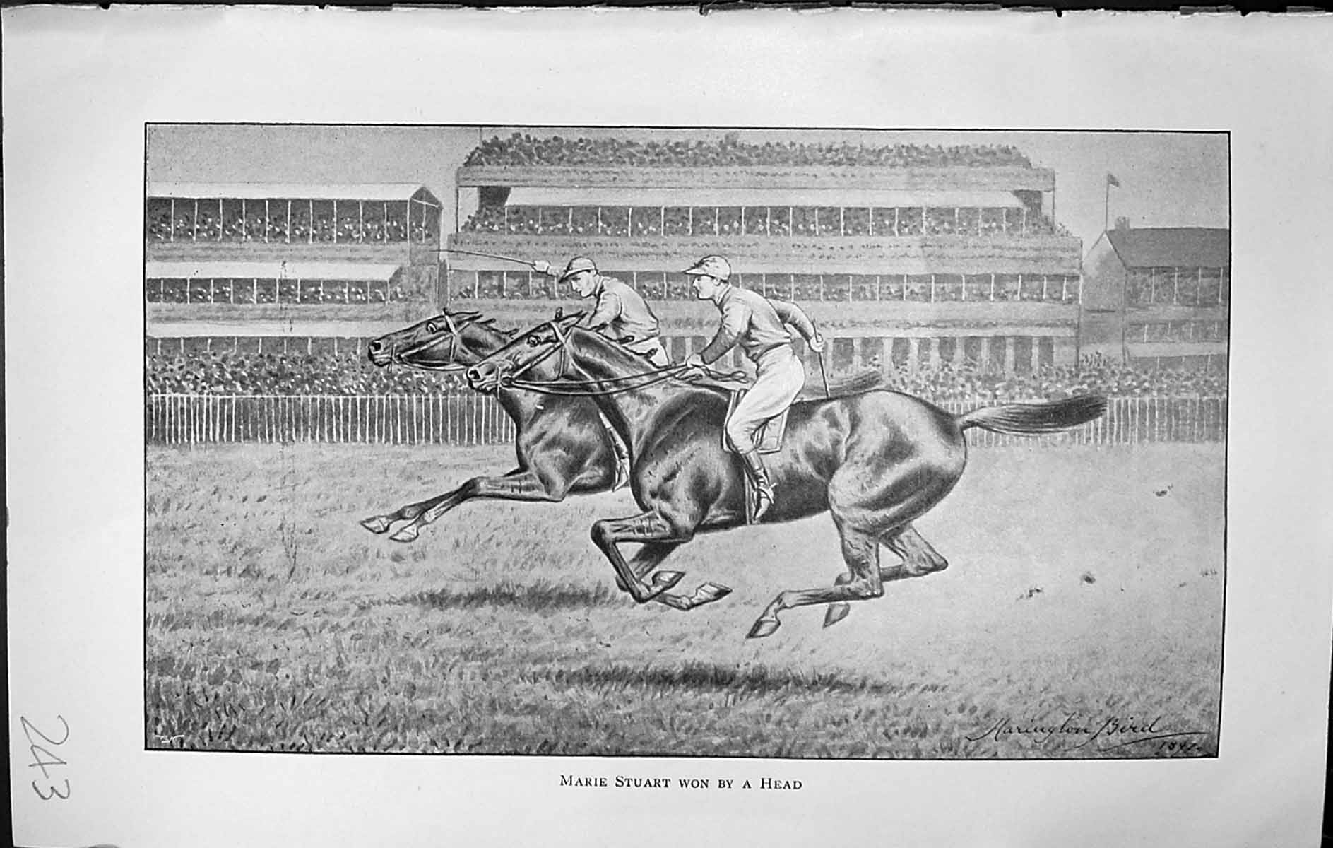 Old Badminton Magazine 1903 Marie Stuart Horse Racing Jockeys Sport G 20th