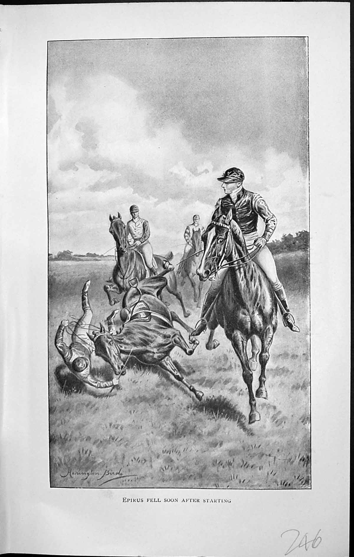 Old Print Badminton Magazine 1903 Epirus Horse Racing Jockey Sport Horses 20th