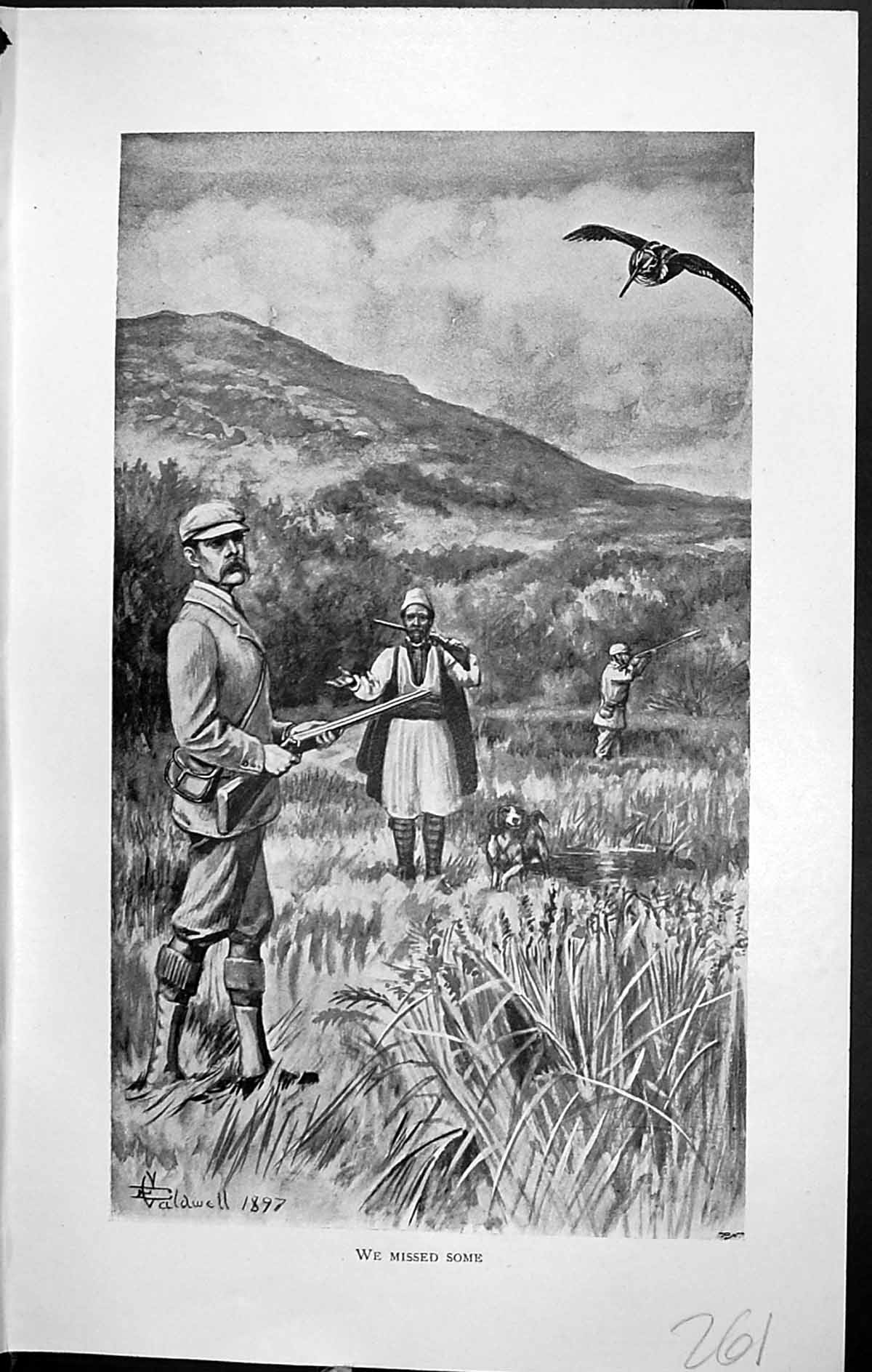 Old Badminton Magazine 1903 Men Shooting Hunting Birds Hound Dog Moun 20th