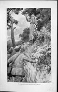 Old Badminton Magazine 1903 Lady Hunting Man Throw Stone Trees Wilson 20th