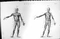 Original Old Antique Print Human Body Muscle Biology Mackenzie C1880 Science