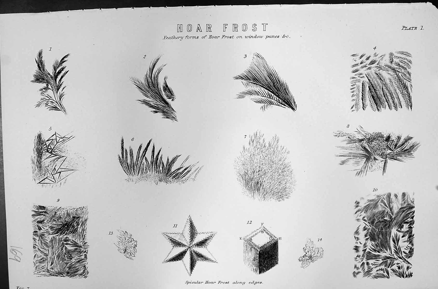 Old Mackenzie C1880 Science Hoar Frost Feathery Forms Spicular Edges Victorian