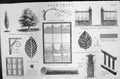 Old Mackenzie C1880 Science Hoar Frost Window Spicular Rough Log Tree Victorian