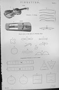 Old Mackenzie C1880 Encyclopaedia Science Vibration Strings Violin Cl Victorian
