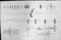 Old Lens Forms Diagrams Shapes Mackenzie C1880 Encyclopaedia Science Victorian
