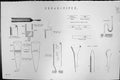 Antique Print Mackenzie C1880 Science Organ Pipes Reed-Pipe Flue-Pipe Music