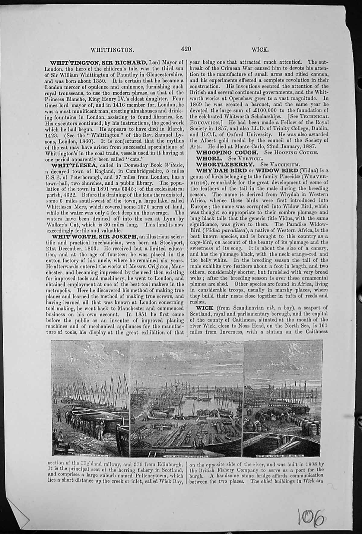Antique Print Wick Boat Launch South Harbour Pulteneytown Packing Herrings