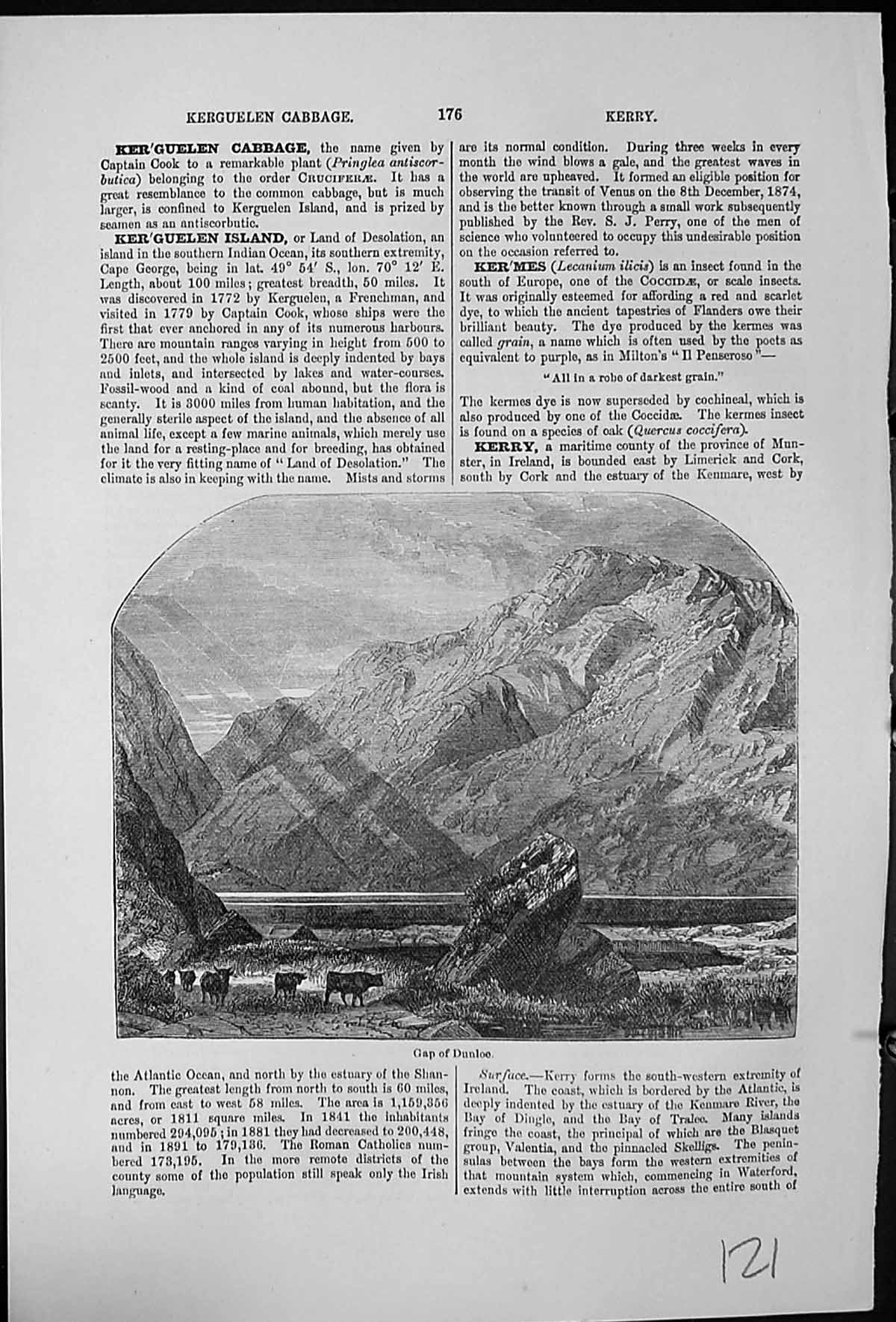 Antique Old Print Gap Dunloe County Kerry Ireland Cattle Lake Side Mountains