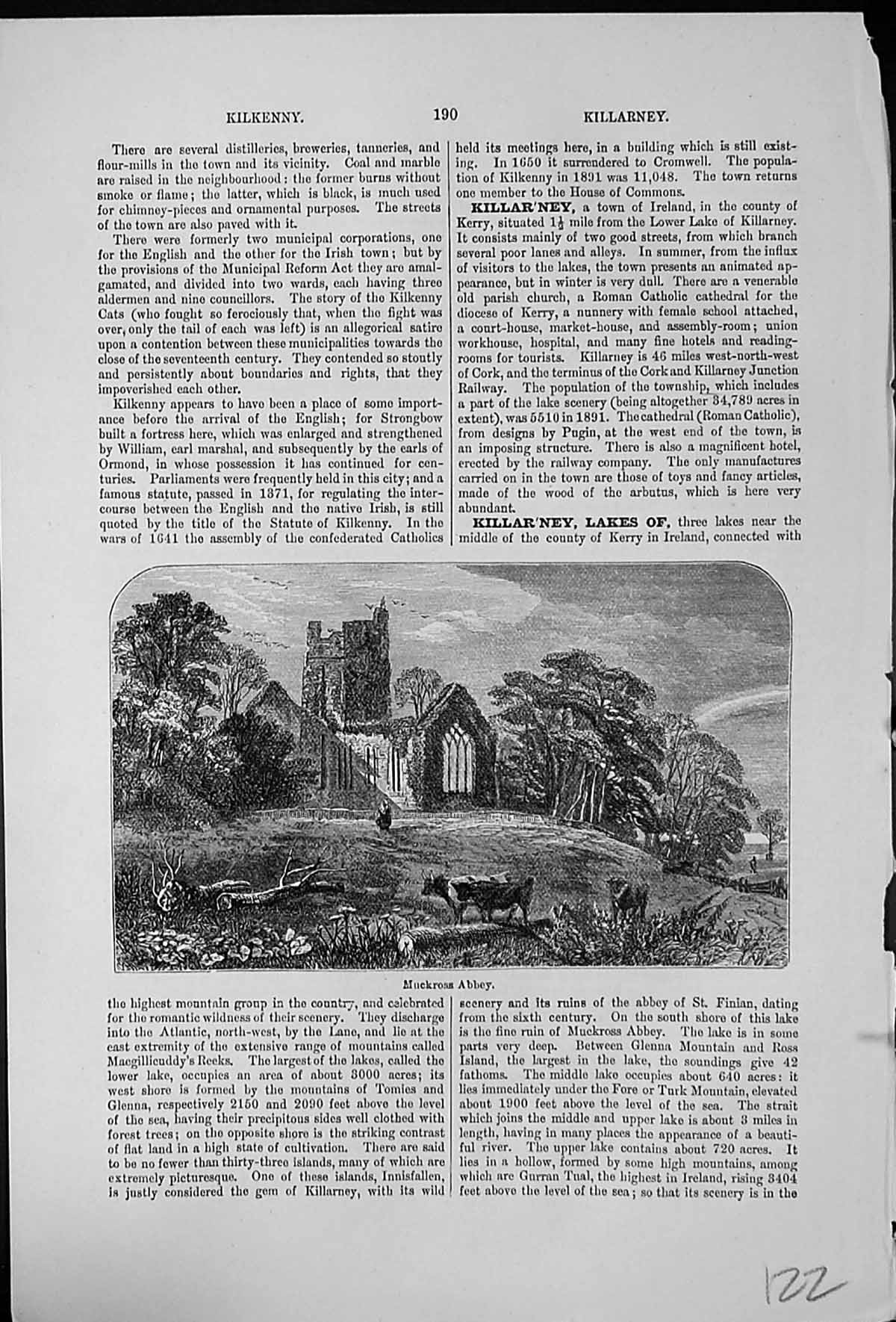 Antique Old Print Muckross Abbey Lakes Killarney Kerry Ireland Cattle Ruins