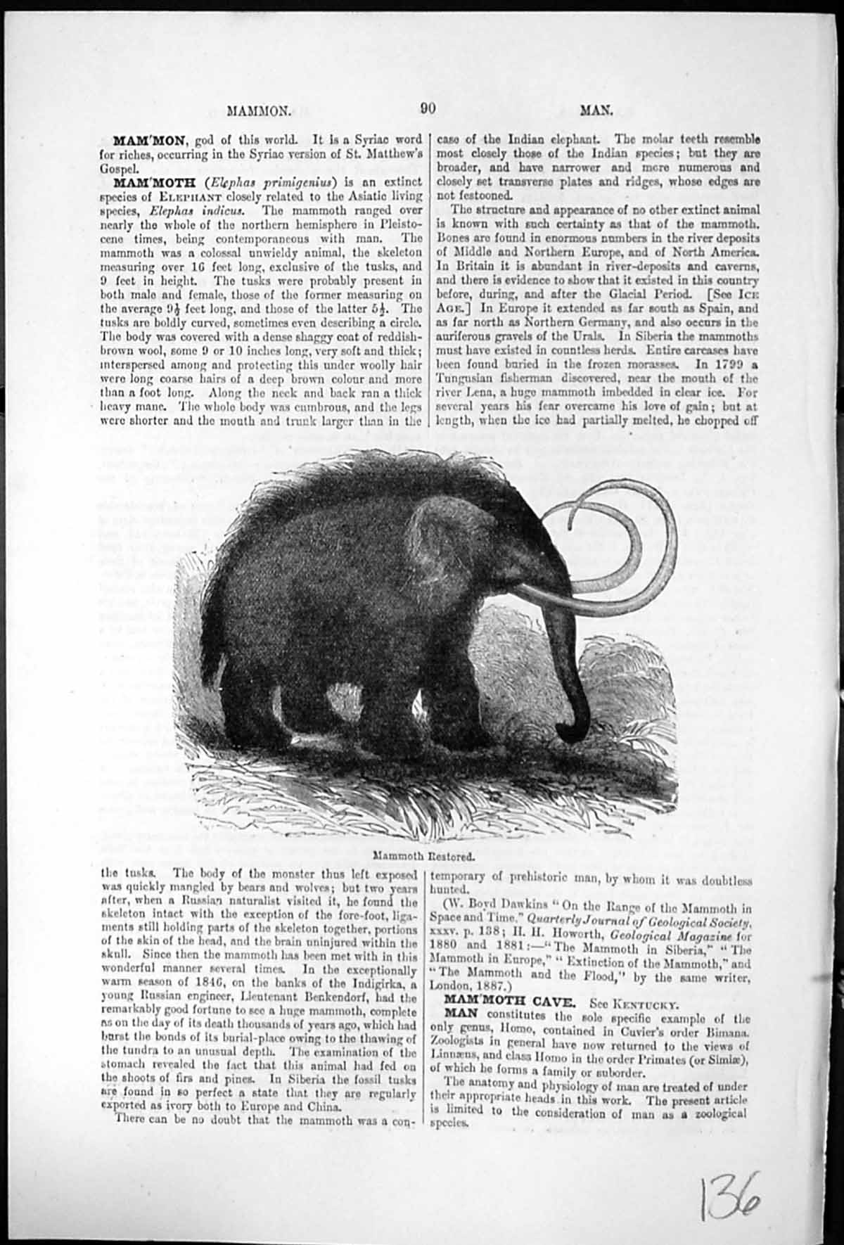 Antique Print Mammoth Restored Elephas Primigeniusextinct Species Elephant