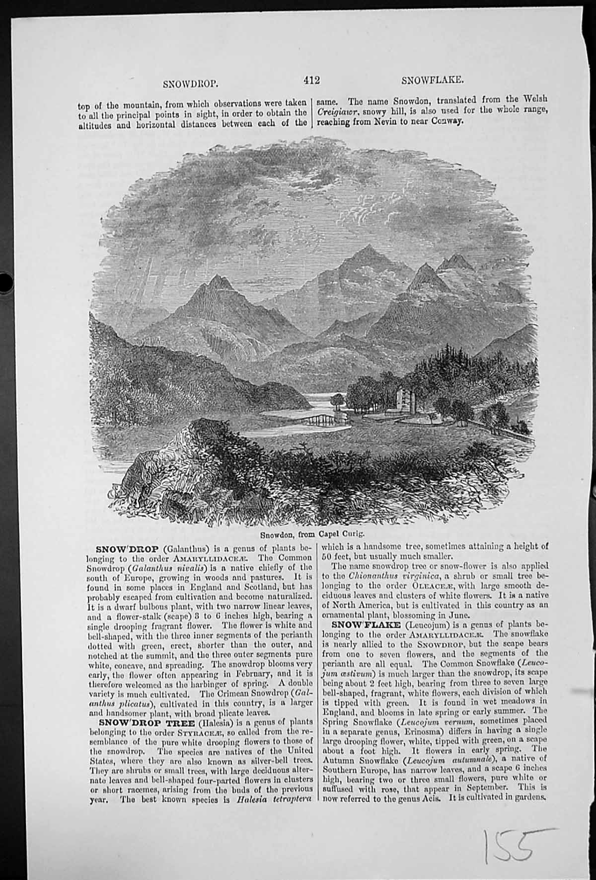Old Antique Print Snowdon From Capel Curig Mountains Bridge Trees Welsh