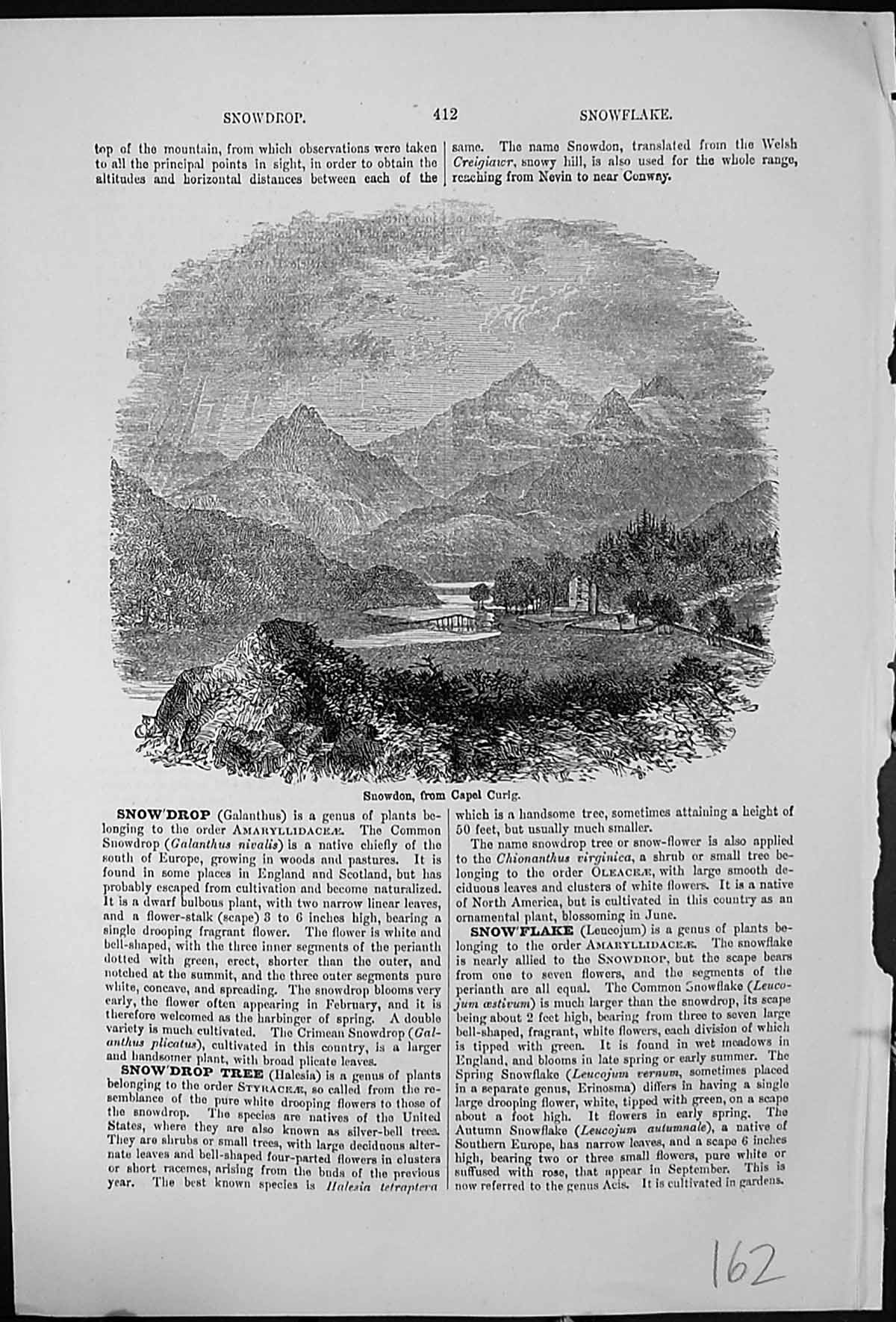 Antique Old Print Snowdon From Capel Curig Mountains Bridge Trees Wales Uk