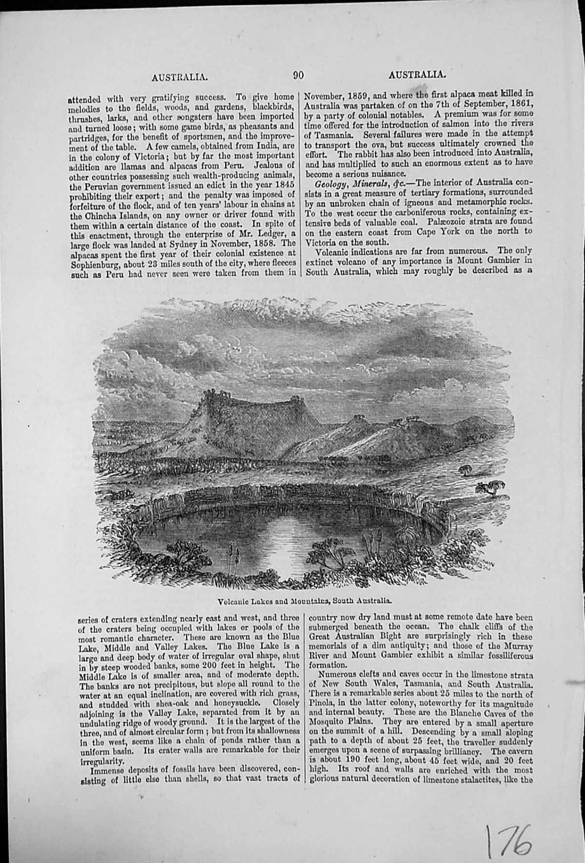 Old Print Volcanic Lakes And Mountains South Australia Crater Vegetation