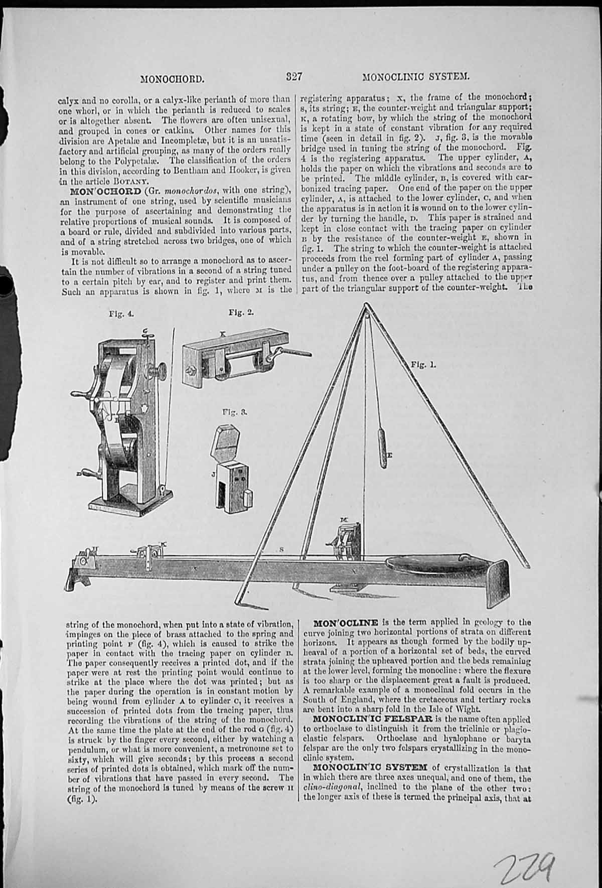 Antique Old Print Monochord One Stringed Instrument Annotated Monocotyledons
