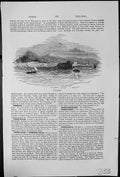 Antique Old Print Trebizond Commerce East Europe Asia Fore-Feet Tree-Frogs