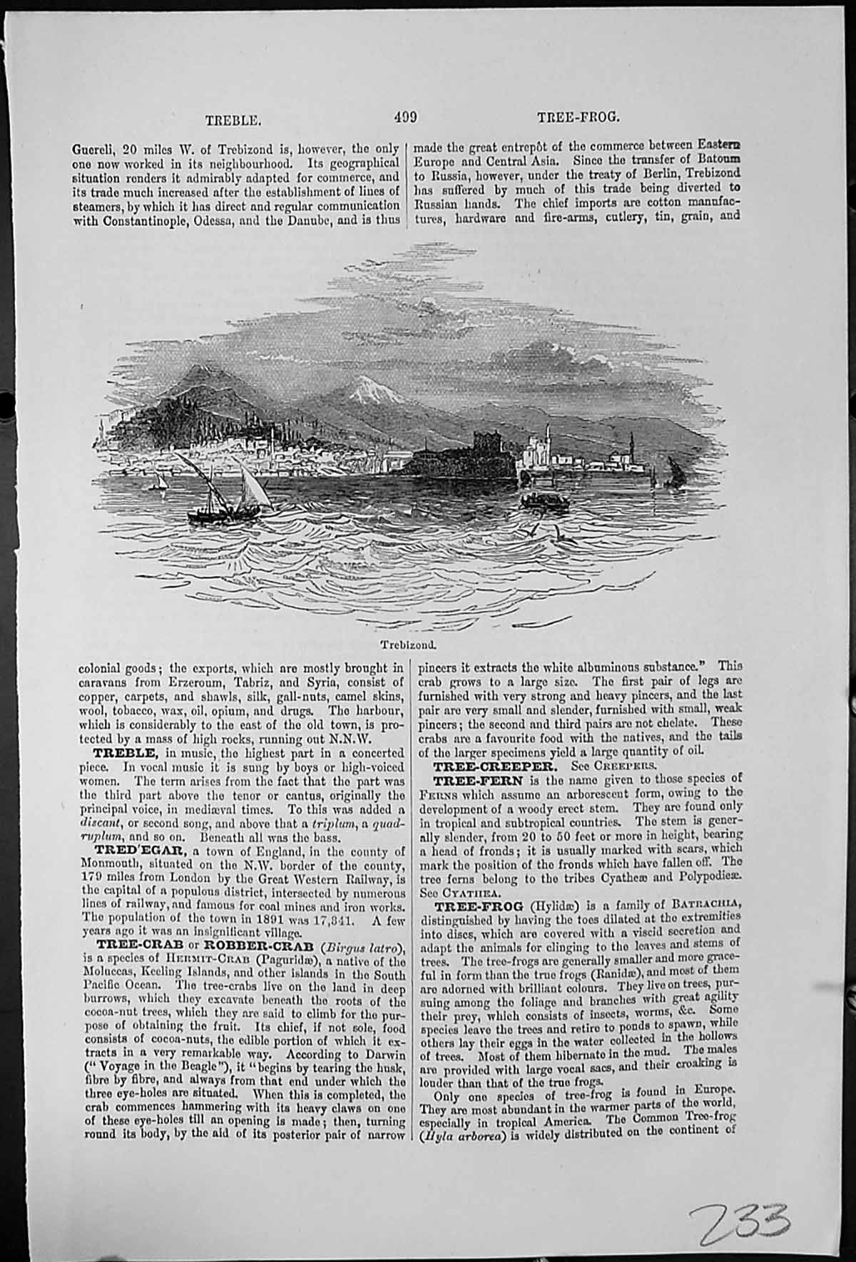 Antique Old Print Trebizond Commerce East Europe Asia Fore-Feet Tree-Frogs