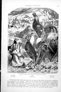 Antique Print Domestic Poultry Bankiva Fowl Cochins Dorkings Bantams C1890 19th