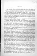 Original Old Antique Print Fish Sturgeon Acipenser Attilus C1890 19th