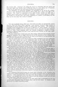 Original Old Antique Print Polyzoa Catanicella Salicornaria Canda Reptans C1890