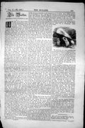 Original Old Antique Print Cromlech Shanganagh Dublin Irelan 1852 Builder 19th