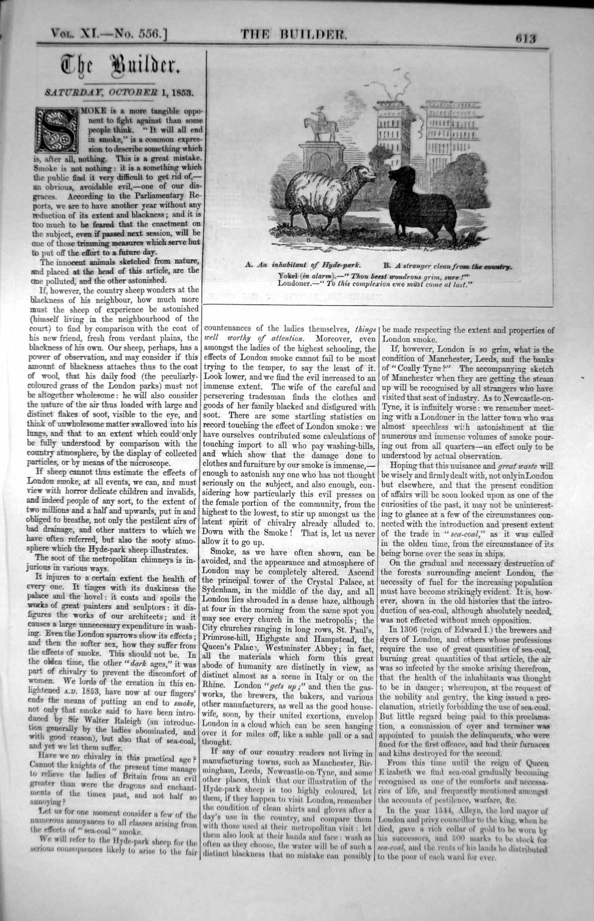 Old Inhabitant Hyde Park Country Stranger Sheep London Buildings 1853 Victorian