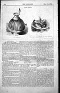 Antique Old Print Water Meters Elevation Base Meter Showing Rollers Bags 1854