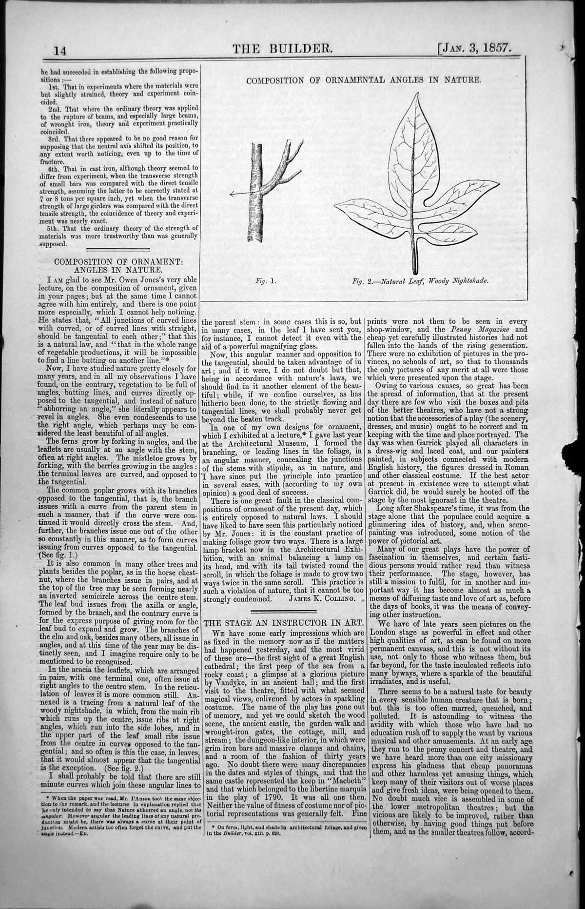 Old Print Composition Ornamental Angles Nature Leaf Woody Nightshade 1857 19th