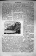Original Old Antique Print Poisoning Springs Sittingbourne 1862 Builder 19th