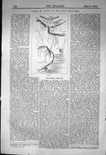 Original Old Antique Print Comte De Vogue Holy Sepulchre 1863 Builder Victorian