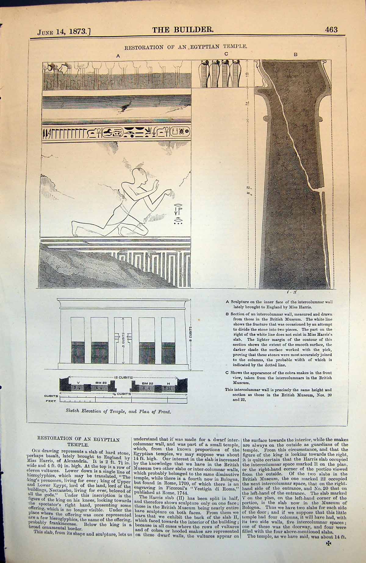 Old Restoration Egyptian Temple Elevation Temple Plan Sculpture 1873 Victorian