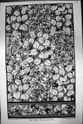 Antique Print Illustration Wallpaper George Chas Haite Leaves Berries 1881 19th